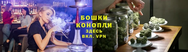 прущие грибы Остров