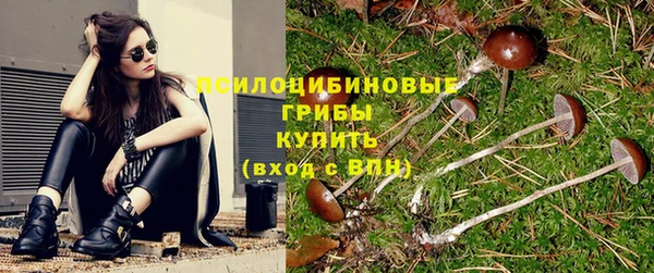 меф Пересвет